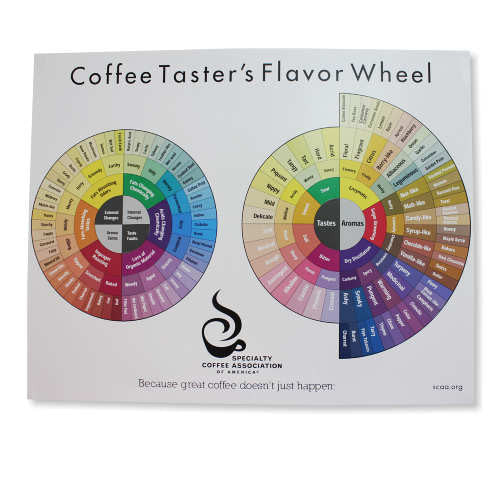 Coffee Taster's Flavour Wheel Chart - SCAA