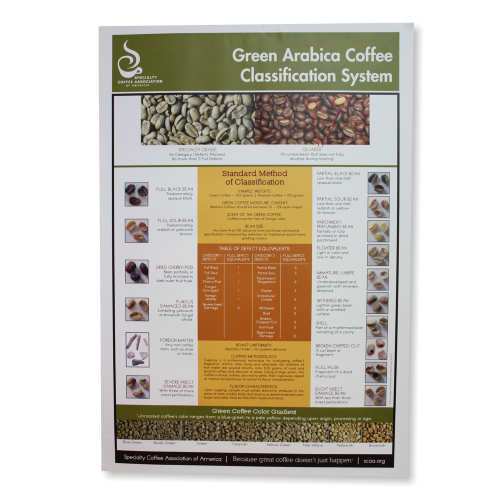 Green Arabica Class Chart Poster - SCAA